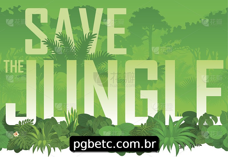 Integração de APIs pgbet