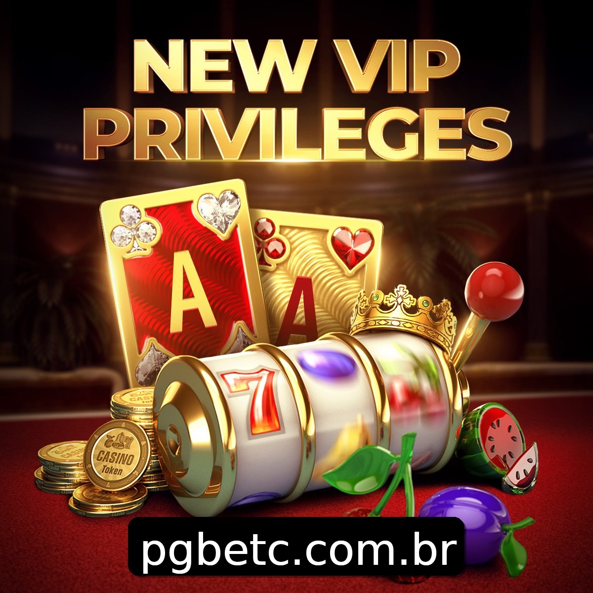 Programa VIP pgbet
